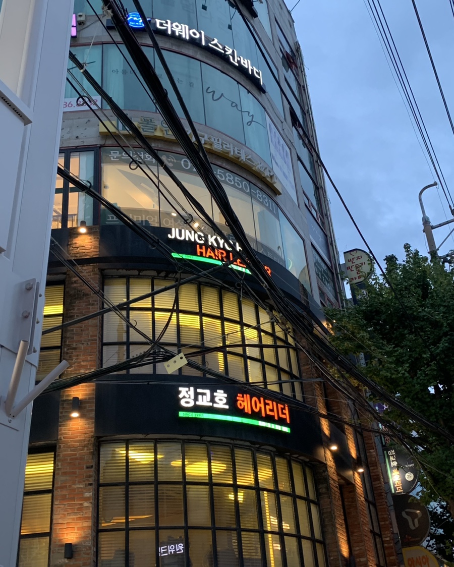 정교호헤어리더 이미지