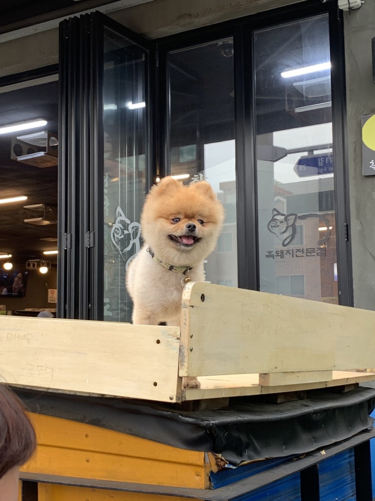 삼겹세상석적점 이미지