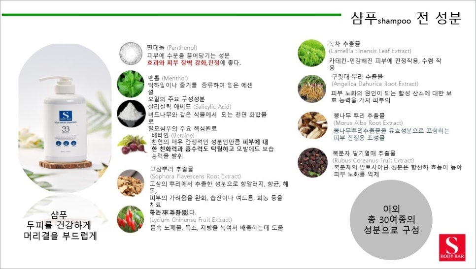 에스바디바 이미지