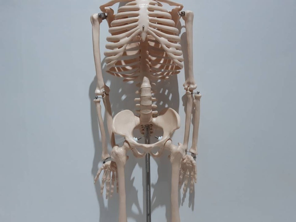 세은통상 이미지