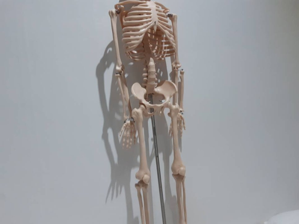 세은통상 이미지