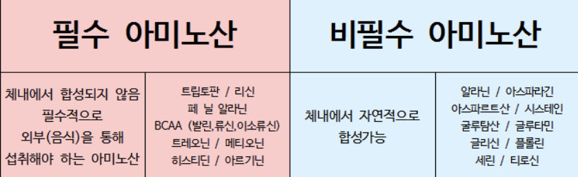 엠투엠피트니스 이미지
