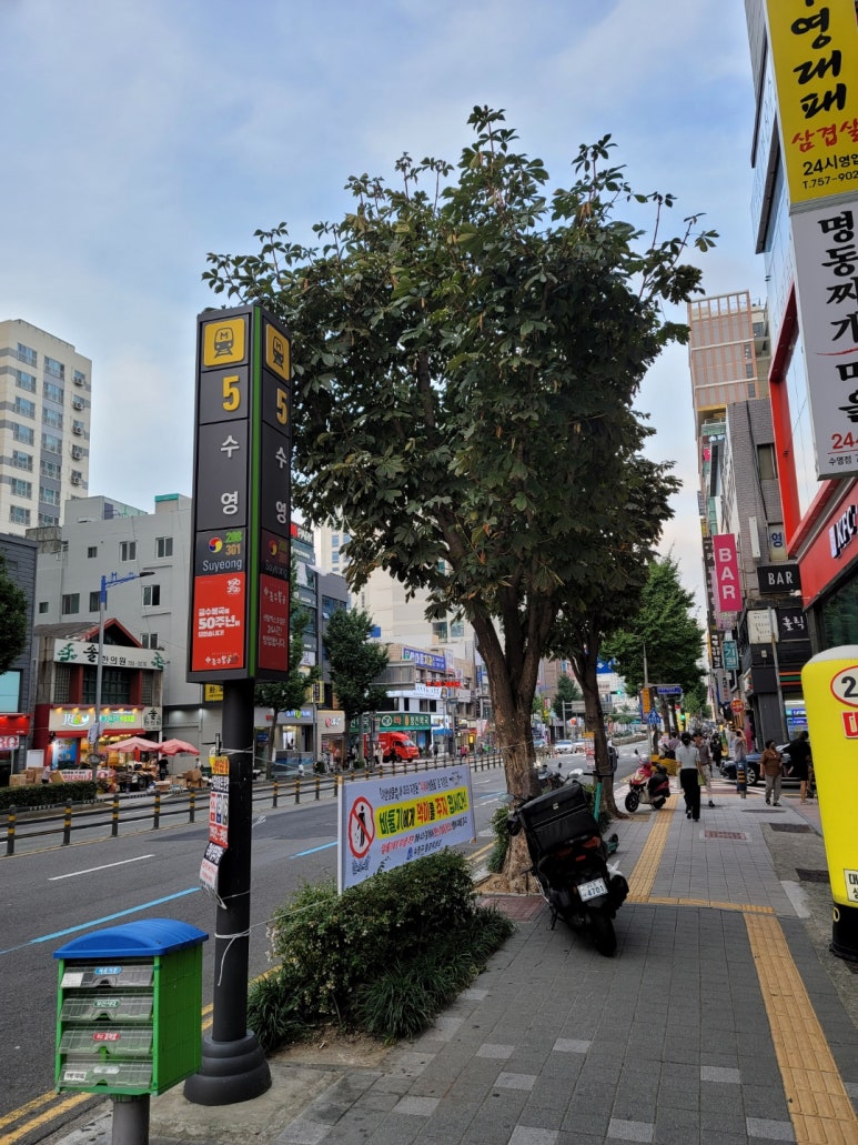 배스킨라빈스 부산 수영점 이미지