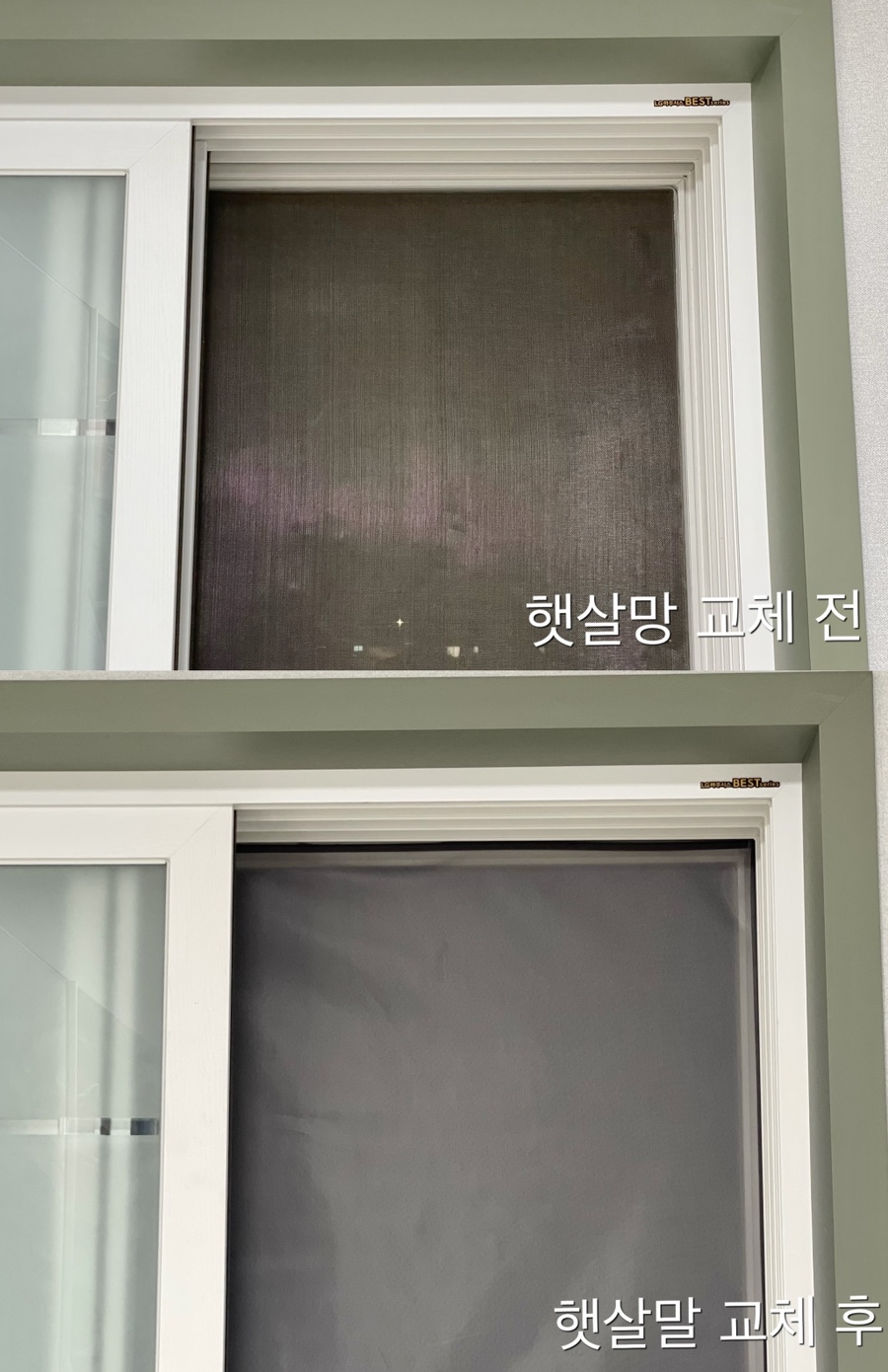 아미KSM 이미지
