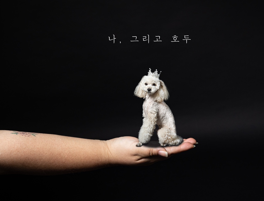 리을사진관 이미지