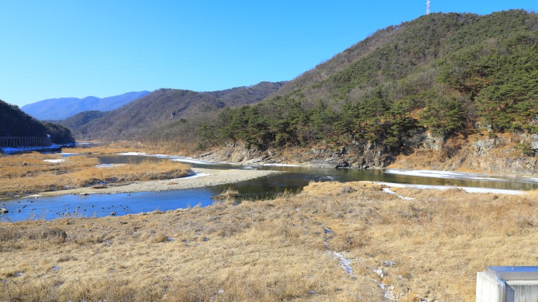 섬강화원 이미지