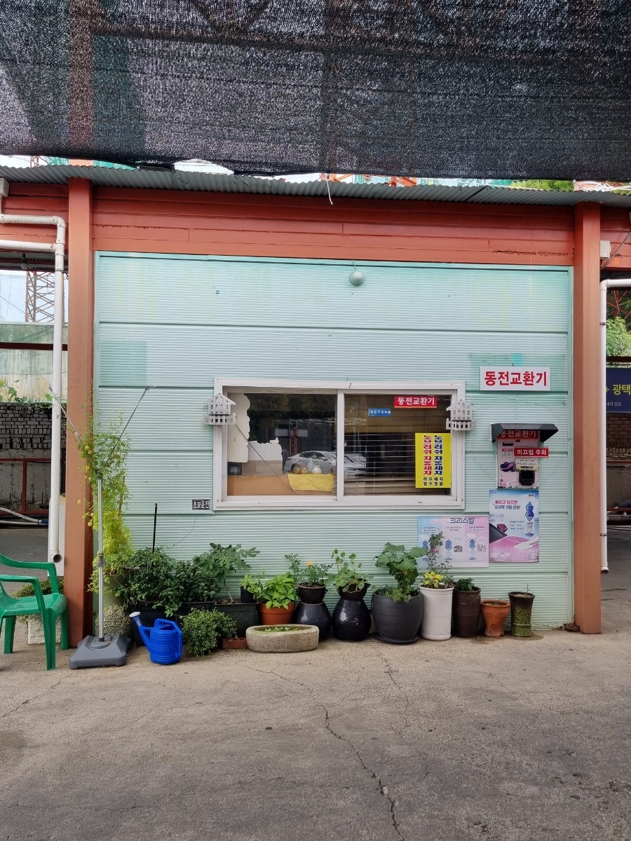 대성세차장 이미지