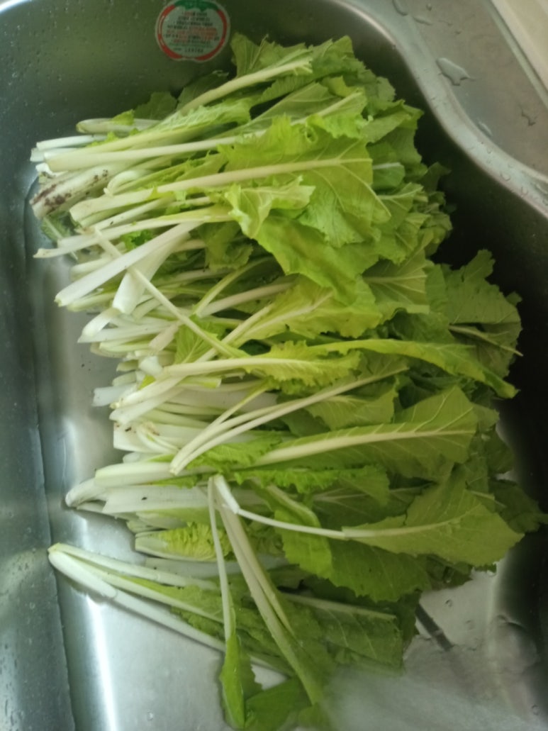 오일장광주김치 이미지