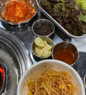 토가돈 이미지