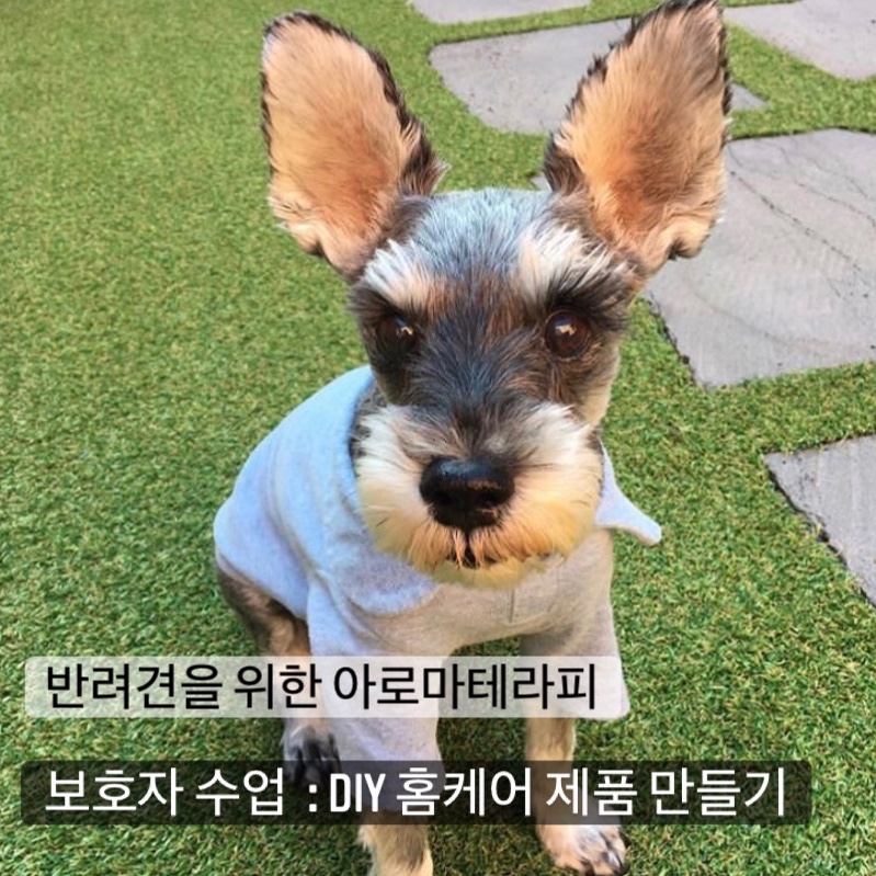 힐테라피 이미지