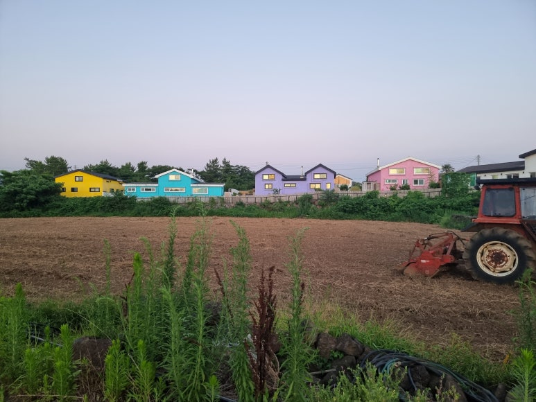 제주애빛나다 이미지
