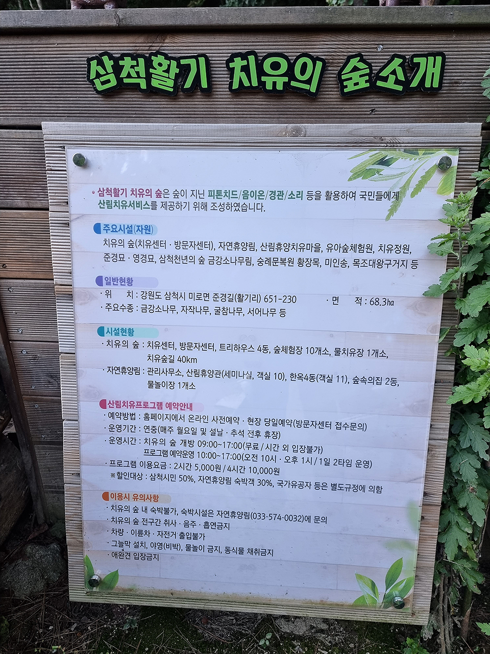삼척 활기 치유의 숲 이미지