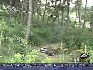 백합다방 이미지