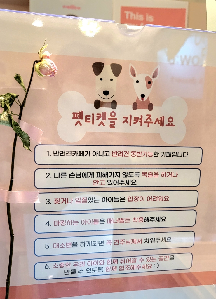 멜로우디(MELLOW:D) 이미지