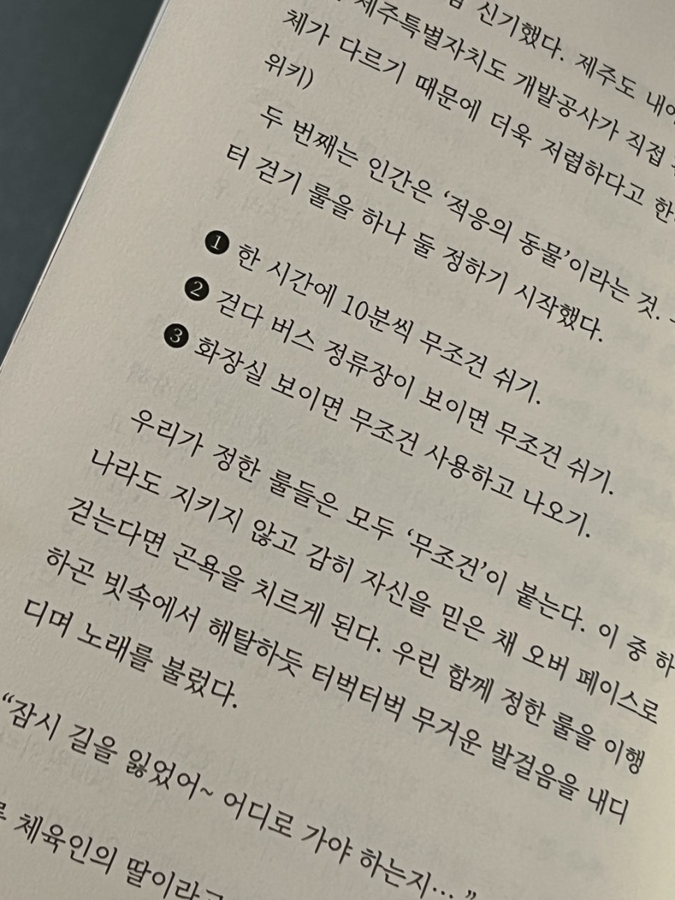 데이민 이미지