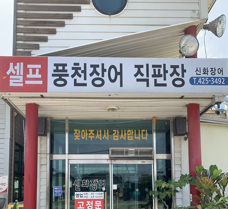 신화장어 이미지