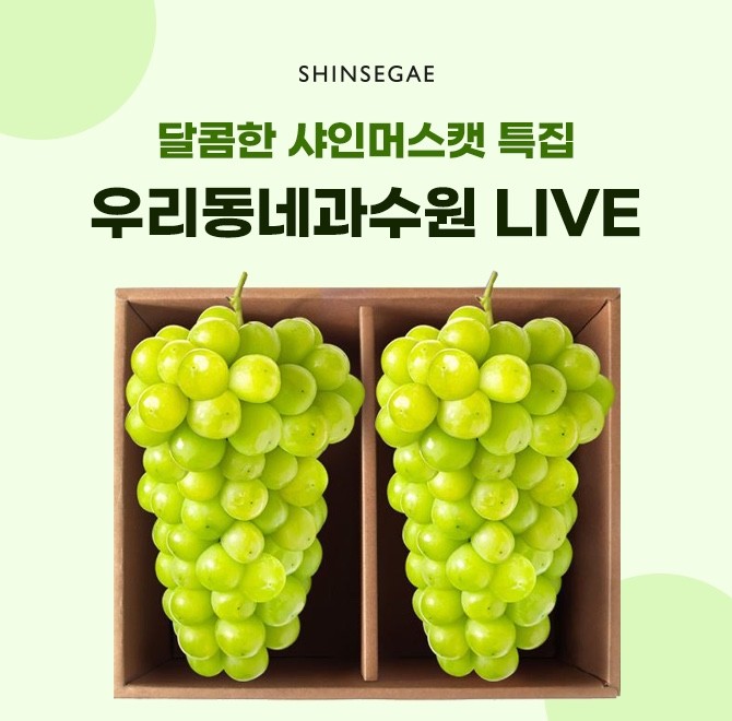 타임29 이미지