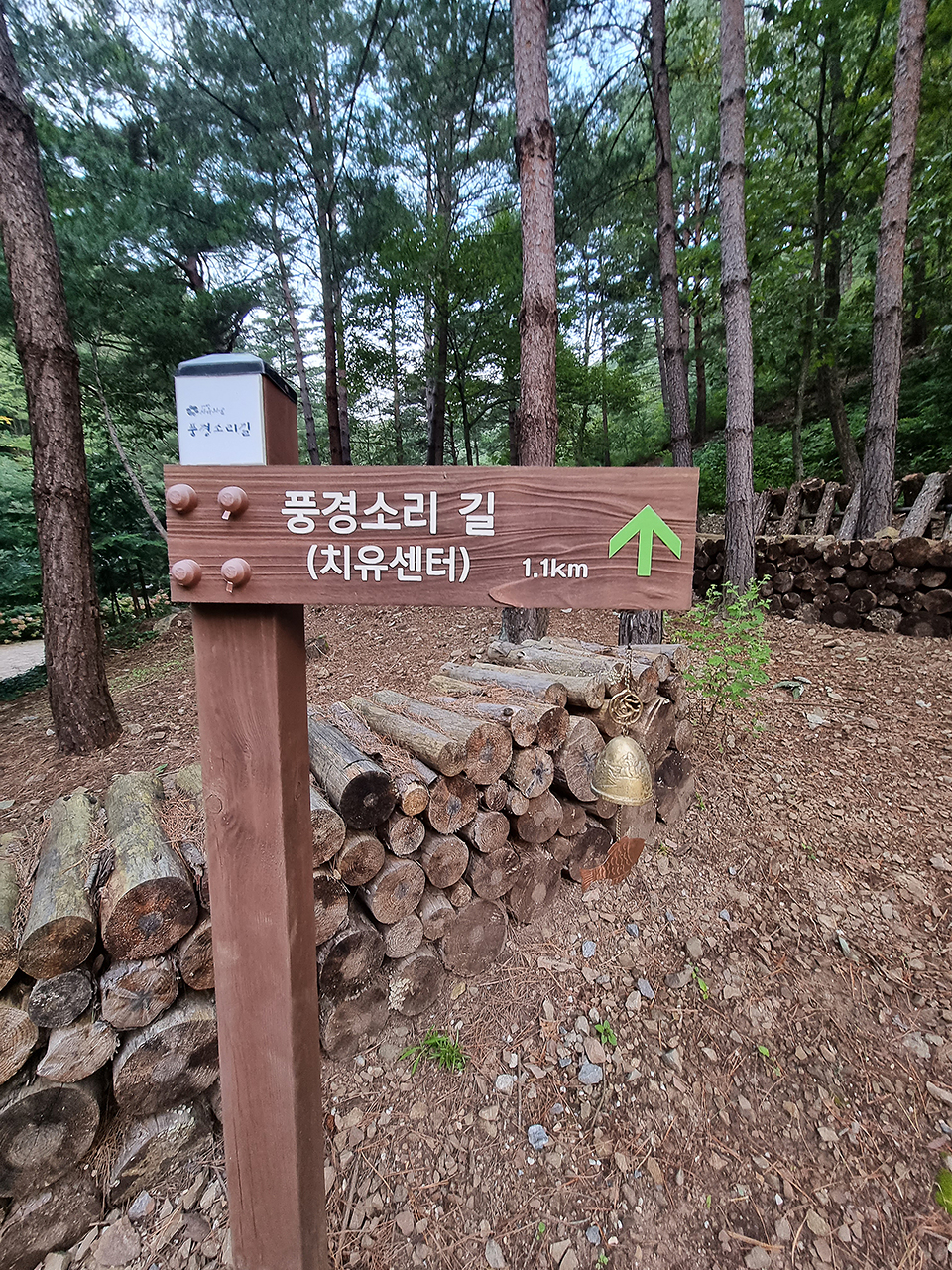 삼척 활기 치유의 숲 이미지