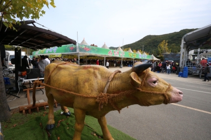 홍천축산업협동조합 이미지