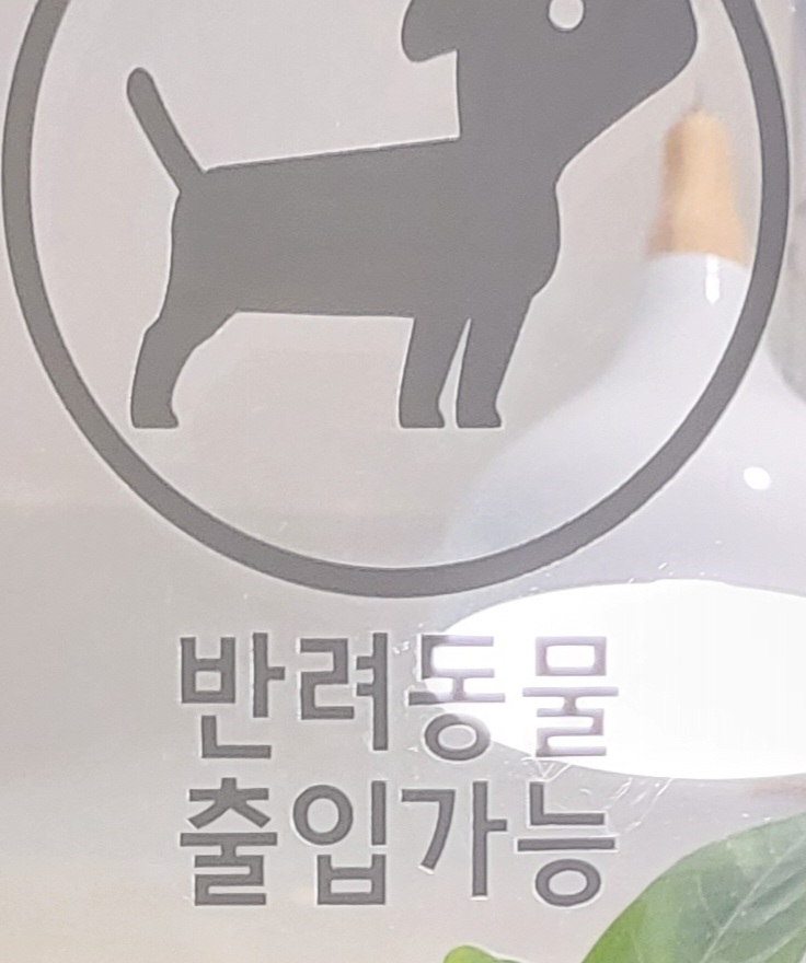 멜로우디(MELLOW:D) 이미지