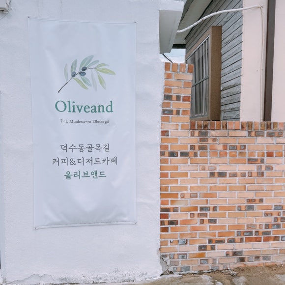 올리브앤드 이미지