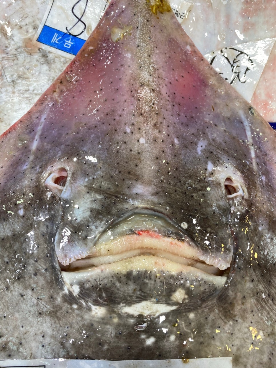 중앙수산 이미지