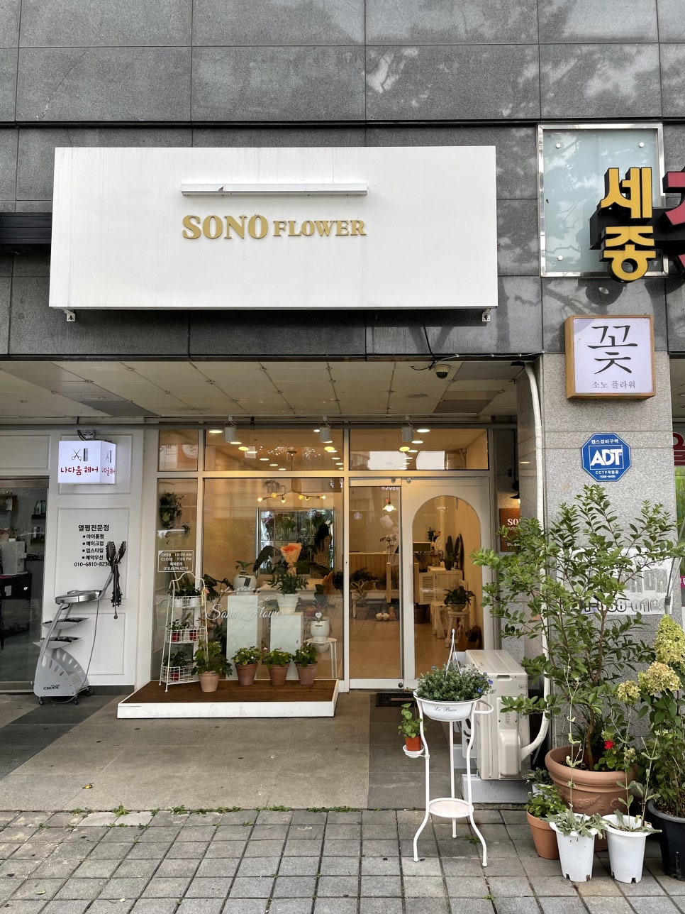 소노플라워 이미지