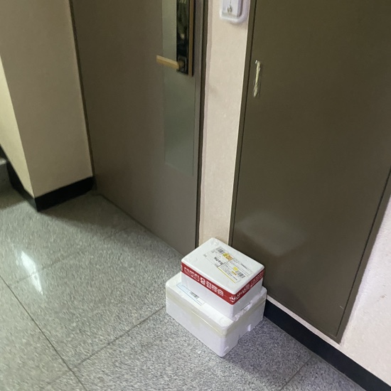 폴린디 이미지