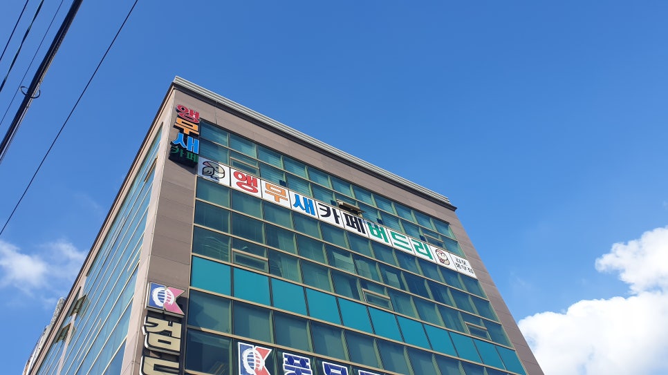 버드리김포 이미지