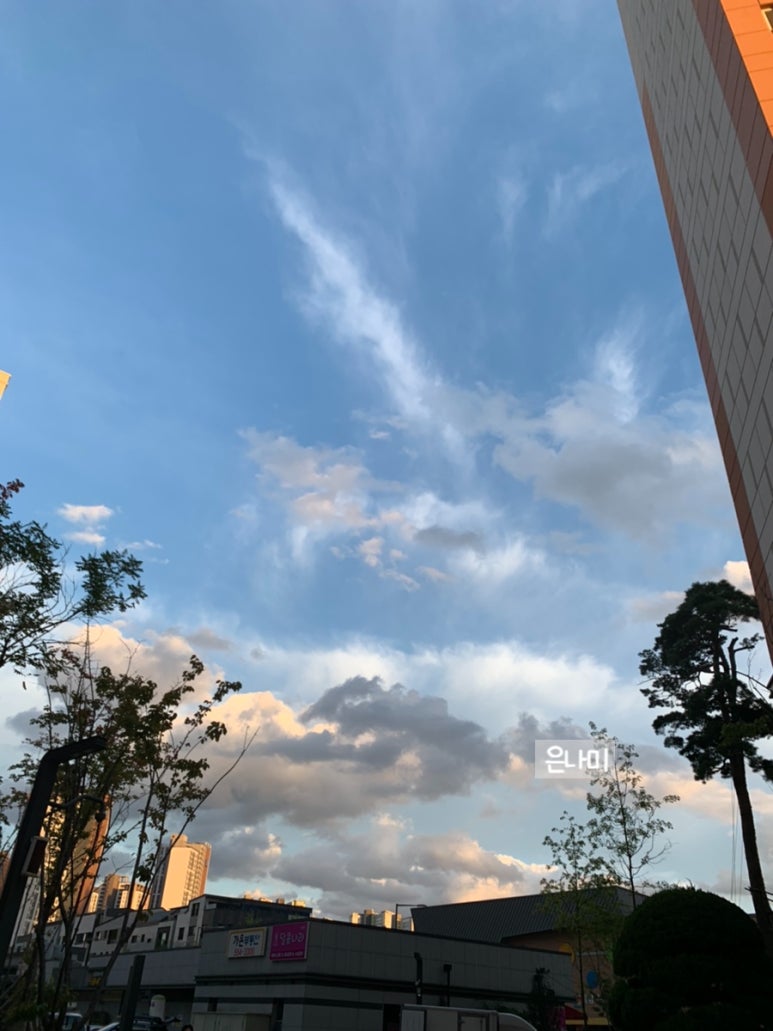 도스마스다산점 이미지