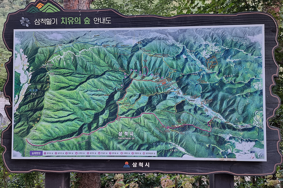 삼척 활기 치유의 숲 이미지
