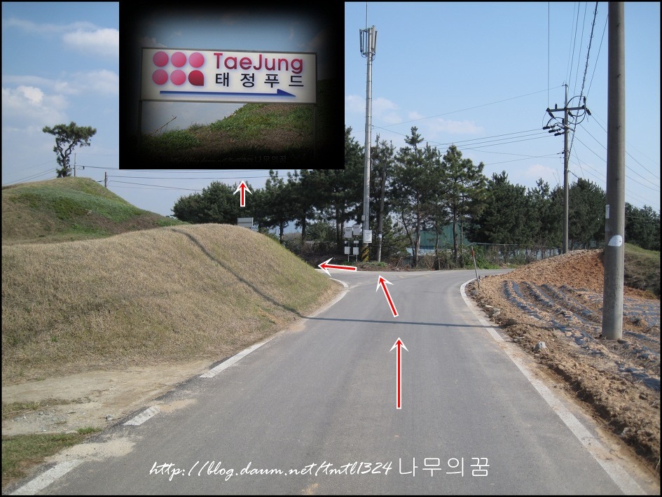 두콩식품 이미지