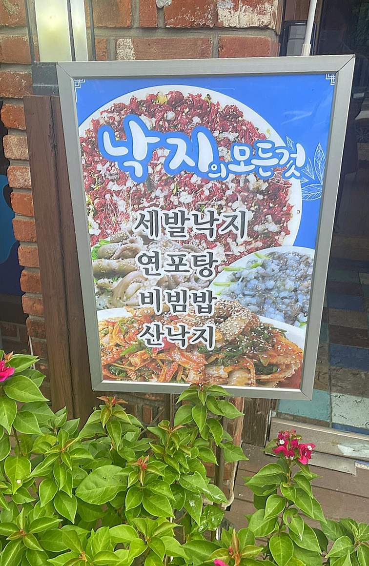 목포갯벌낙지 이미지