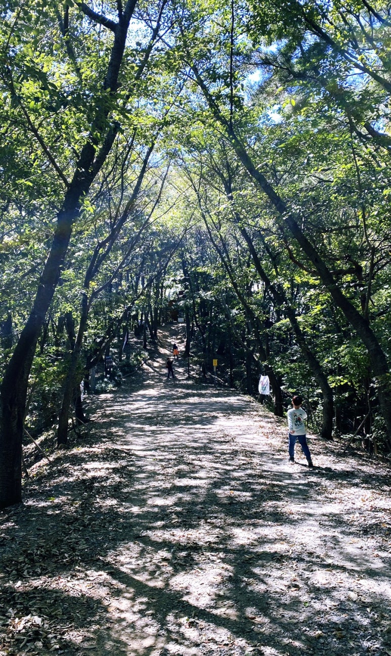 칠갑산정육식당 이미지