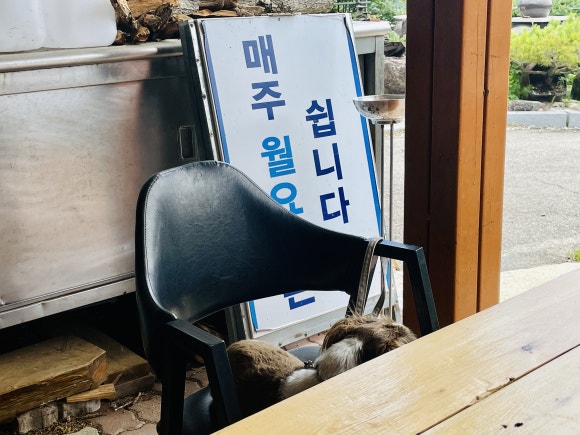 복골양지마을메밀국수 이미지