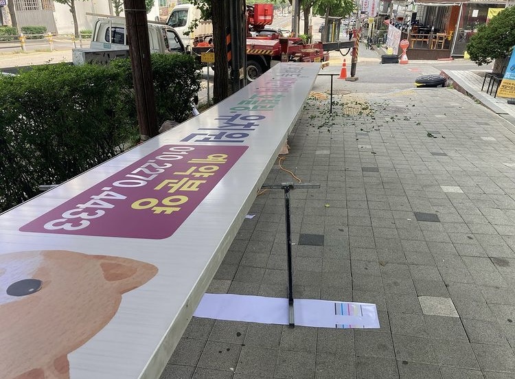 써니애드 이미지