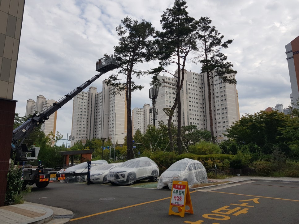 라온나무병원 이미지