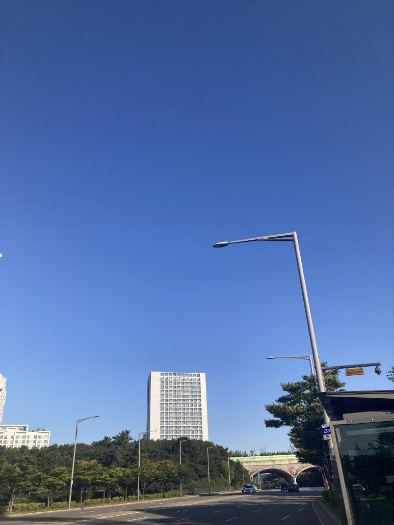 어쩌다산책 이미지