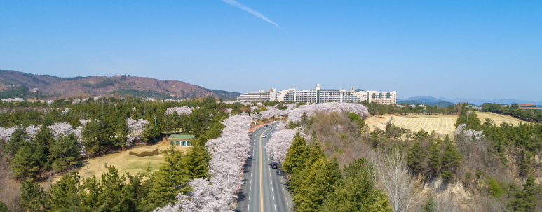 대명앤강산 이미지