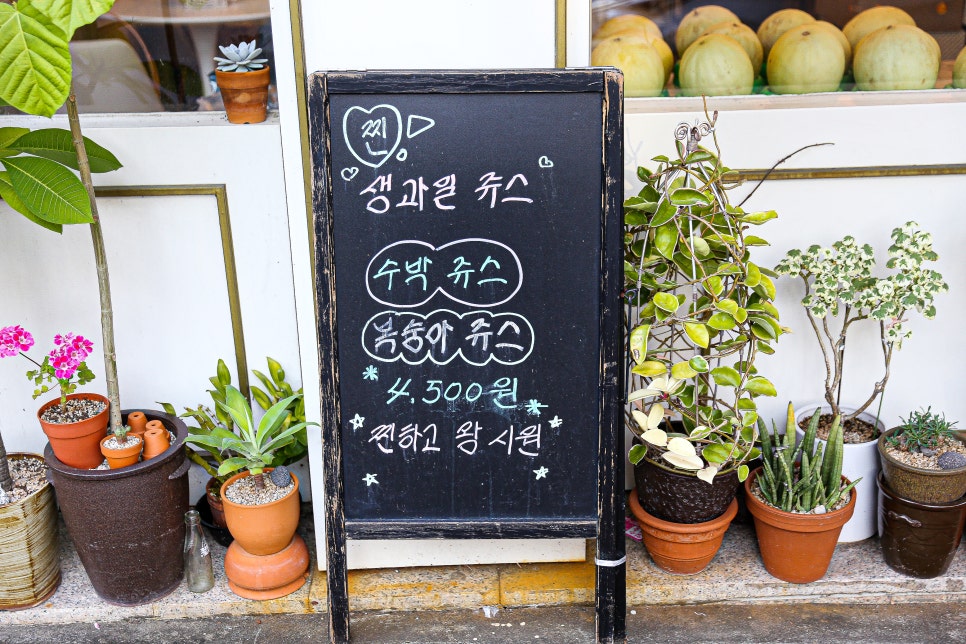 네비다라 이미지