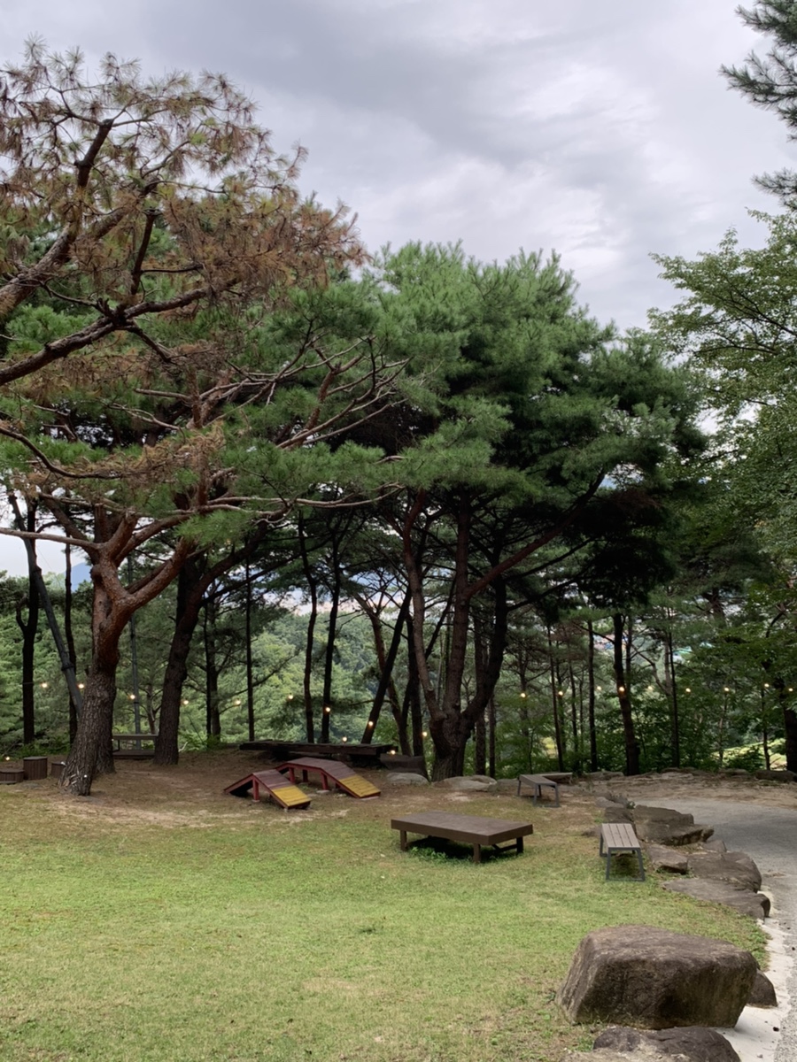 카페백동 이미지