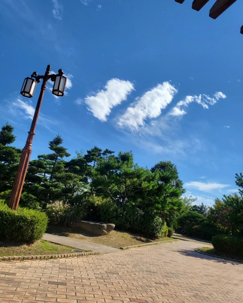 브로우빈 이미지