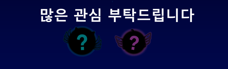 키마스튜디오 이미지