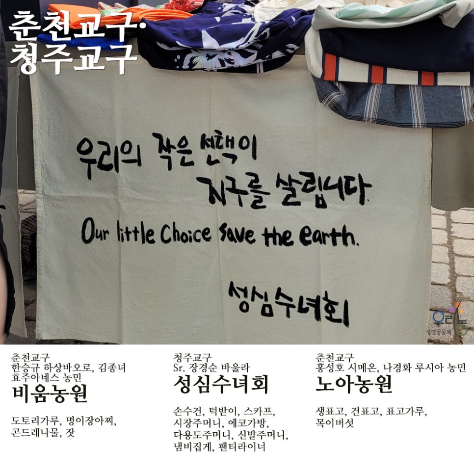평창천년삼 이미지