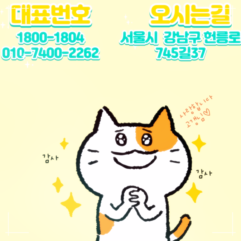 솔루션모터스 이미지