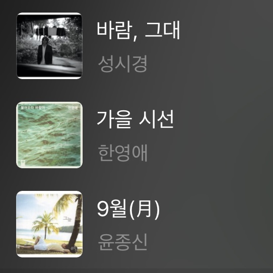 마줌 이미지
