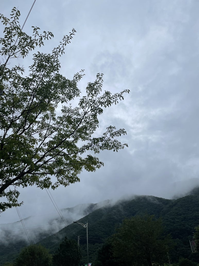 산호장여관 이미지