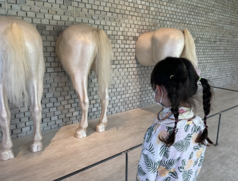 씨스타와이 이미지