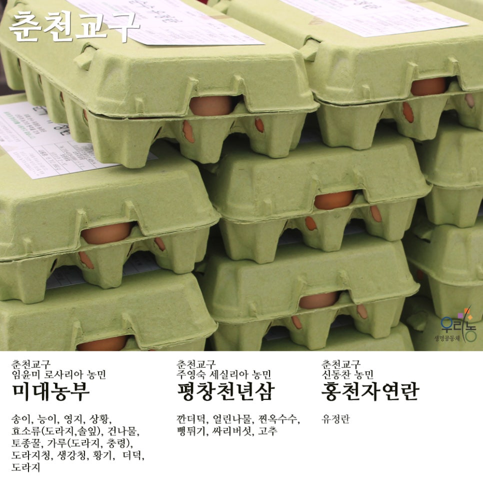 평창천년삼 이미지