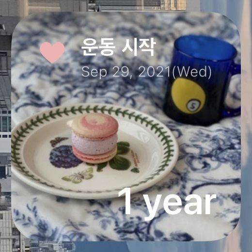 오늘부터디데이마카롱 이미지